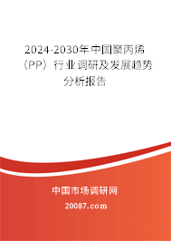 2024-2030年中国聚丙烯（PP）行业调研及发展趋势分析报告