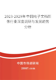 2023-2029年中国电子文档影像行业深度调研与发展趋势分析