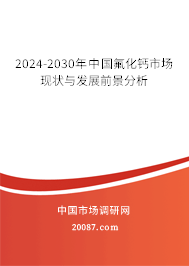 2024-2030年中国氟化钙市场现状与发展前景分析