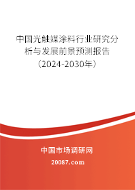 中国光触媒涂料行业研究分析与发展前景预测报告（2024-2030年）