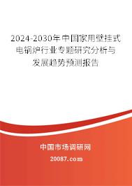 2024-2030年中国家用壁挂式电锅炉行业专题研究分析与发展趋势预测报告