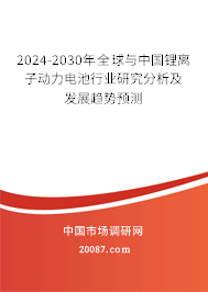 2024-2030年全球与中国锂离子动力电池行业研究分析及发展趋势预测