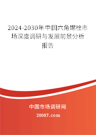 2024-2030年中国六角螺栓市场深度调研与发展前景分析报告