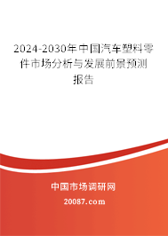 2024-2030年中国汽车塑料零件市场分析与发展前景预测报告