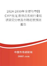 2024-2030年全球与中国CMP抛光液供应系统行业现状研究分析及市场前景预测报告