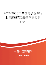 2024-2030年中国电子器件行业深度研究及投资前景预测报告