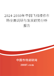 2024-2030年中国飞机维修市场全面调研与发展趋势分析报告