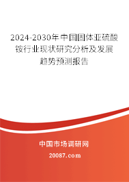 2024-2030年中国固体亚硫酸铵行业现状研究分析及发展趋势预测报告