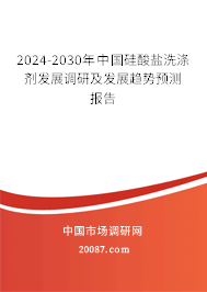 2024-2030年中国硅酸盐洗涤剂发展调研及发展趋势预测报告