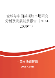 全球与中国减摇鳍市场研究分析及发展前景报告（2024-2030年）