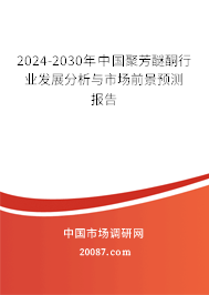 2024-2030年中国聚芳醚酮行业发展分析与市场前景预测报告