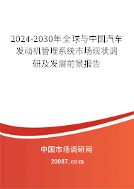 2024-2030年全球与中国汽车发动机管理系统市场现状调研及发展前景报告