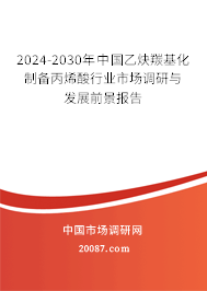 2024-2030年中国乙炔羰基化制备丙烯酸行业市场调研与发展前景报告