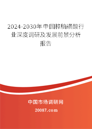 2024-2030年中国樟脑磺酸行业深度调研及发展前景分析报告