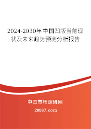 2024-2030年中国凹版当前现状及未来趋势预测分析报告