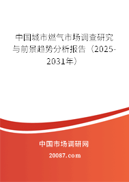 中国城市燃气市场调查研究与前景趋势分析报告(2025-2031年) 中国城市燃气市场调查研究与前景趋势分析报告(2025-2031年)