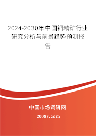 2024-2030年中国铜精矿行业研究分析与前景趋势预测报告