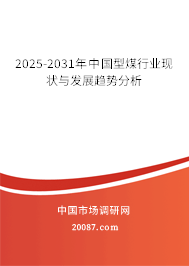 2025-2031年中国型煤行业现状与发展趋势分析 2025-2031年中国型煤行业现状与发展趋势分析