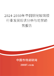 2024-2030年中国钢化玻璃膜行业发展现状分析与前景趋势报告