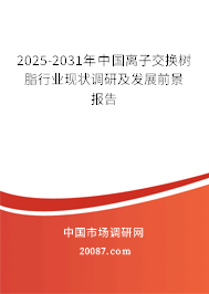 2025-2031年中国离子交换树脂行业现状调研及发展前景报告 2025-2031年中国离子交换树脂行业现状调研及发展前景报告