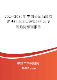 2024-2030年中国葡萄糖酸依诺沙行业现状研究分析及发展趋势预测报告