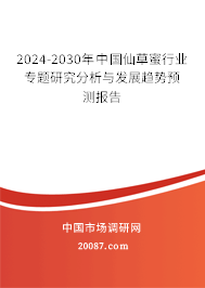 2024-2030年中国仙草蜜行业专题研究分析与发展趋势预测报告