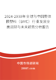 2024-2030年全球与中国整体模塑料（BMC）行业发展全面调研与未来趋势分析报告