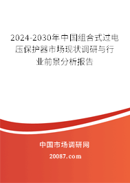 2024-2030年中国组合式过电压保护器市场现状调研与行业前景分析报告