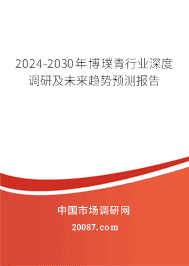 2024-2030격ҵȵмδԤⱨ