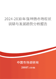 2024-2030ǿг״뷢չƷ