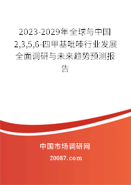 2023-2029年全球与中国2,3,5,6-四甲基吡嗪行业发展全面调研与未来趋势预测报告