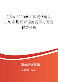 2024-2030年中国光伏电站EPC市场现状深度调研与发展趋势分析