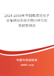 2024-2030年中国集成式电子驻车制动系统市场分析与前景趋势预测