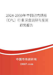 2024-2030年中国己内酰胺（CPL）行业深度调研与发展趋势报告