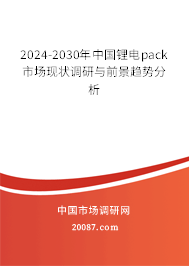 2024-2030年中国锂电pack市场现状调研与前景趋势分析