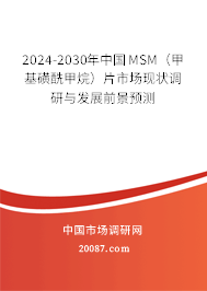 2024-2030年中国MSM（甲基磺酰甲烷）片市场现状调研与发展前景预测