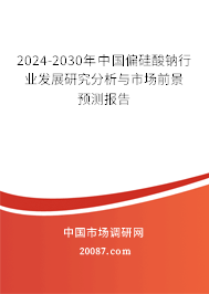 2024-2030年中国偏硅酸钠行业发展研究分析与市场前景预测报告