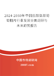 2024-2030年中国盐酸氨基葡萄糖片行业发展全面调研与未来趋势报告