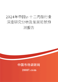 2024年中国γ-十二内酯行业深度研究分析及发展前景预测报告