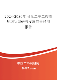 2024-2030年间苯二甲二胺市场现状调研与发展前景预测报告