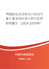 中国插电式混合动力电动汽车行业发展现状分析与前景趋势报告（2024-2030年）