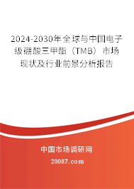 2024-2030年全球与中国电子级硼酸三甲酯（TMB）市场现状及行业前景分析报告