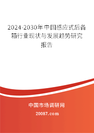 2024-2030年中国感应式后备箱行业现状与发展趋势研究报告