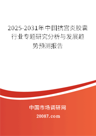 2025-2031年中国抗宫炎胶囊行业专题研究分析与发展趋势预测报告 2025-2031年中国抗宫炎胶囊行业专题研究分析与发展趋势预测报告