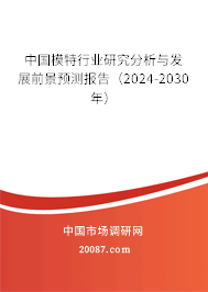 中国模特行业研究分析与发展前景预测报告（2024-2030年）