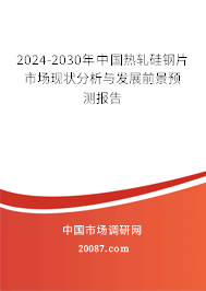 2024-2030年中国热轧硅钢片市场现状分析与发展前景预测报告