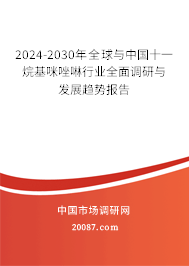 2024-2030年全球与中国十一烷基咪唑啉行业全面调研与发展趋势报告