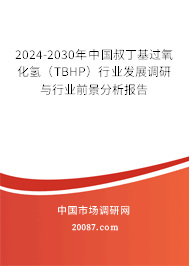 2024-2030年中国叔丁基过氧化氢（TBHP）行业发展调研与行业前景分析报告