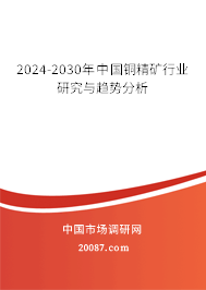 2024-2030年中国铜精矿行业研究与趋势分析