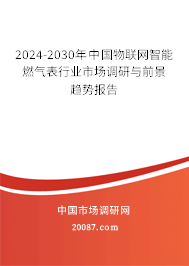 2024-2030年中国物联网智能燃气表行业市场调研与前景趋势报告